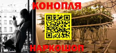 индика Тверь