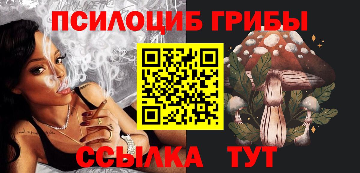 Бердск  Псилоцибиновые грибы MAGIC MUSHROOMS  Вход с VPN  Псилоцибиновые грибы прущие грибы 